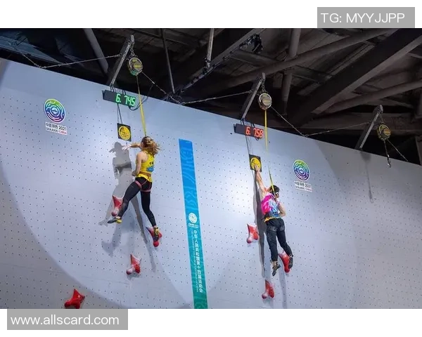 最新攀岩力量排行榜揭晓北京攀岩队强势领跑全国前十名